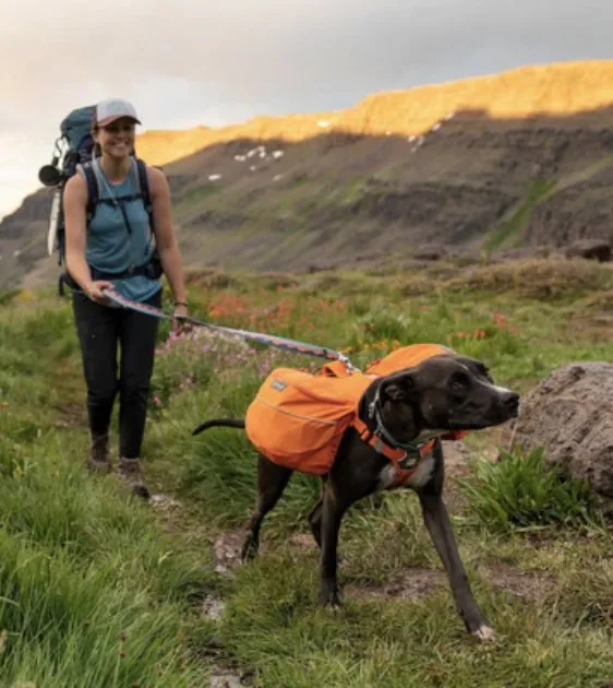 Ruffwear Crag™ Reflective & Multi-Use Dog Leash (Canyon Oxbow)