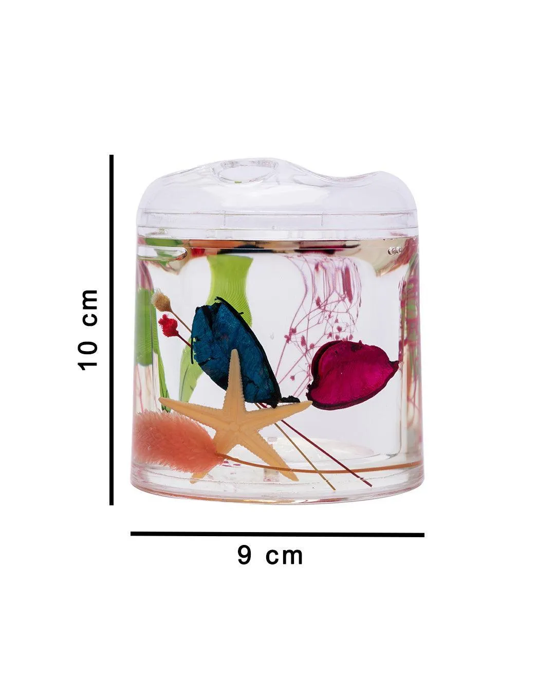 Toothbrush Holder, Multicolour, Plastic